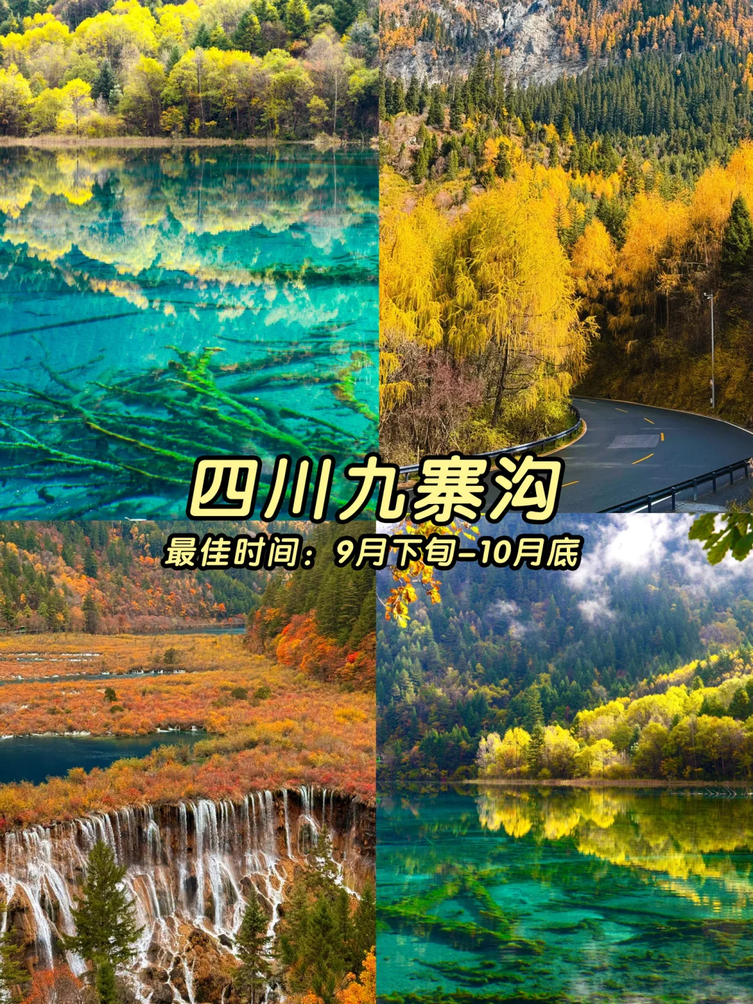 🍁一键收藏！9-11月国内最美秋色地图！