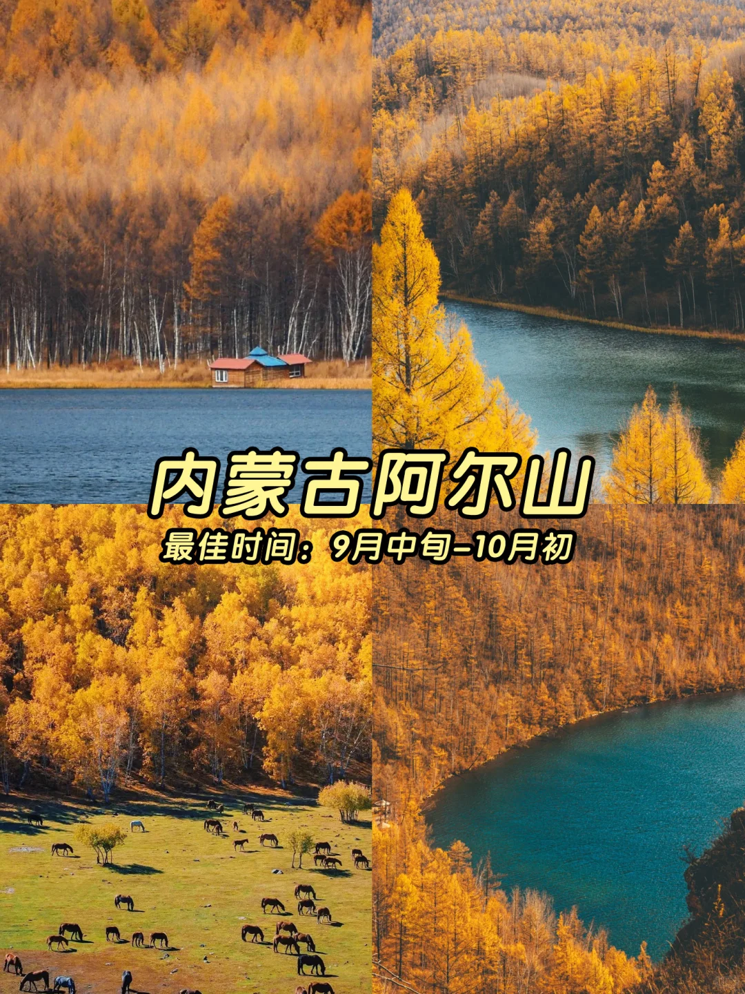 🍁一键收藏！9-11月国内最美秋色地图！