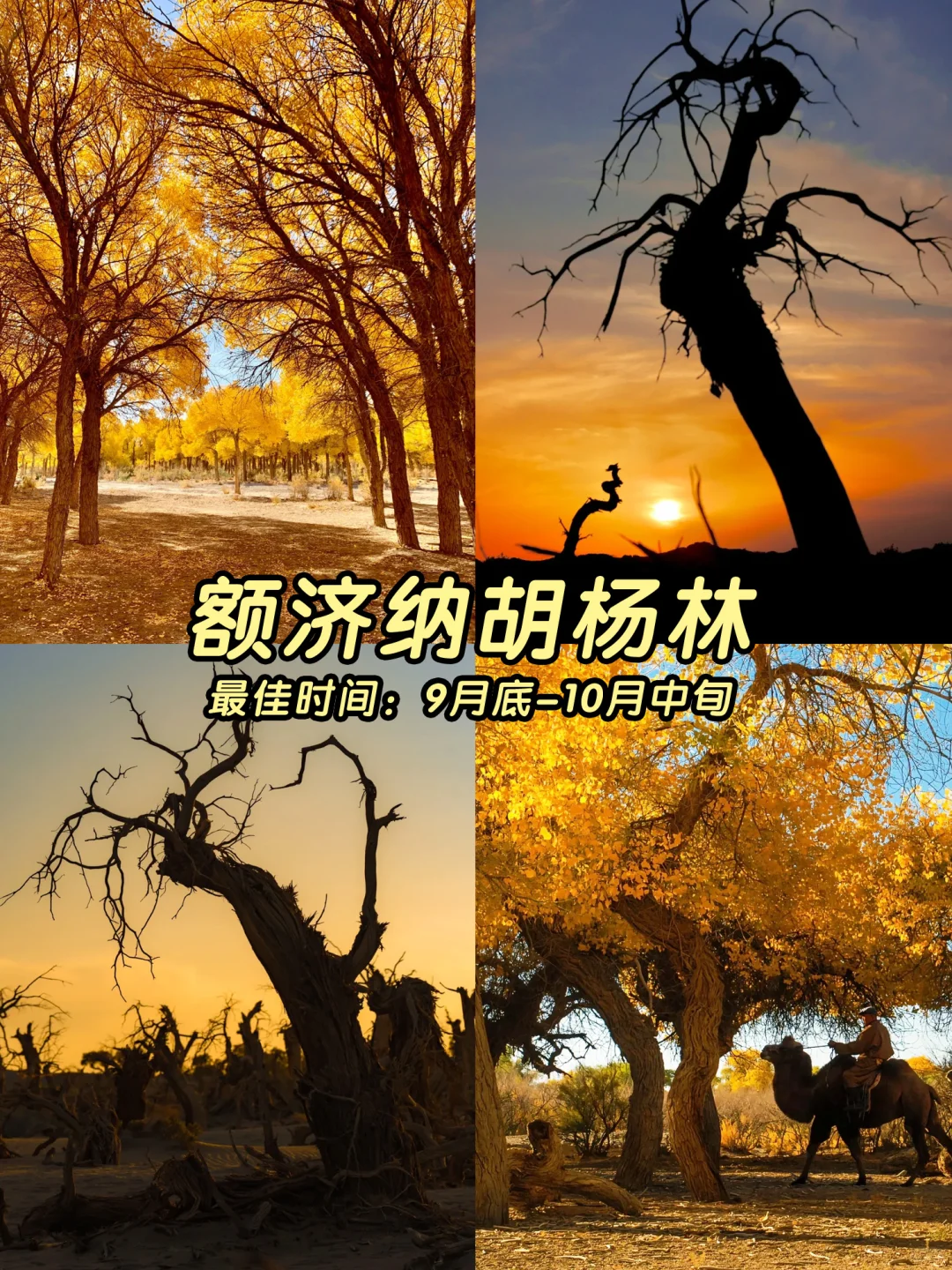 🍁一键收藏！9-11月国内最美秋色地图！