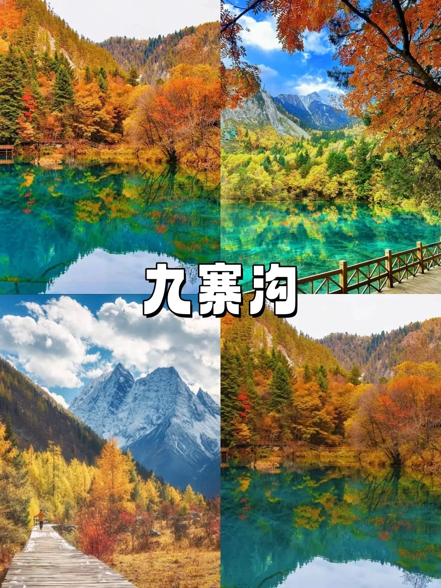 10-11月错峰旅游，八大赏秋圣地❗美到封神