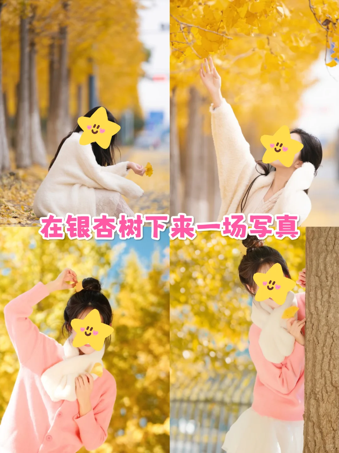 韶关旅游👉帽子峰银杏✨3天人均800💰