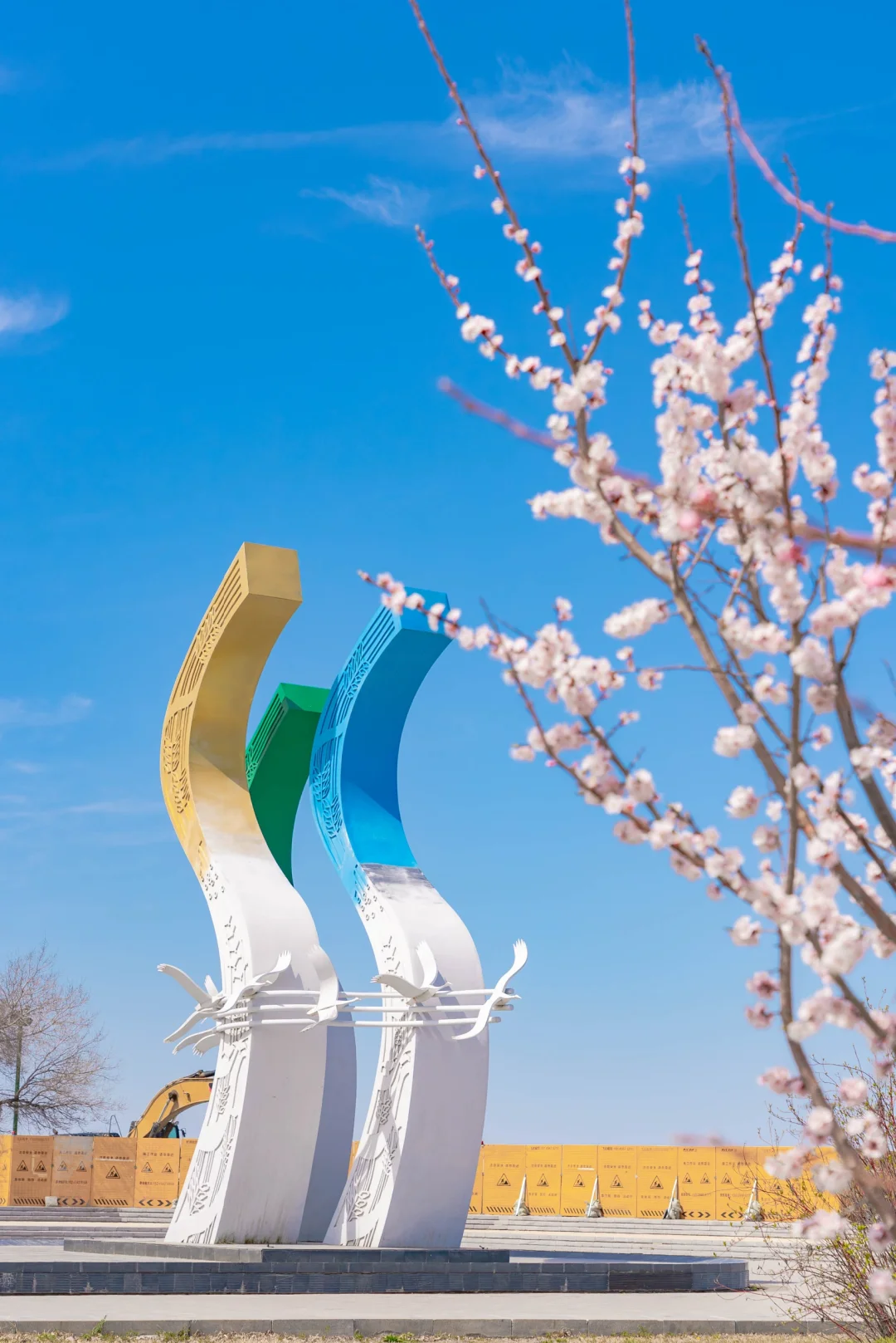 黑龙江你不宣传佳木斯糊涂呀!好看又好吃咧