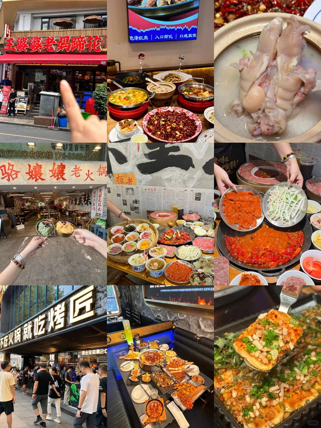 成都熊猫基地🔥超详细攻略来了！！！