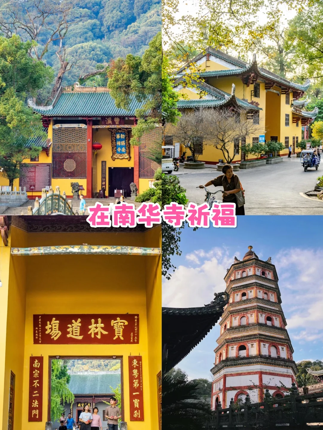 韶关旅游👉帽子峰银杏✨3天人均800💰