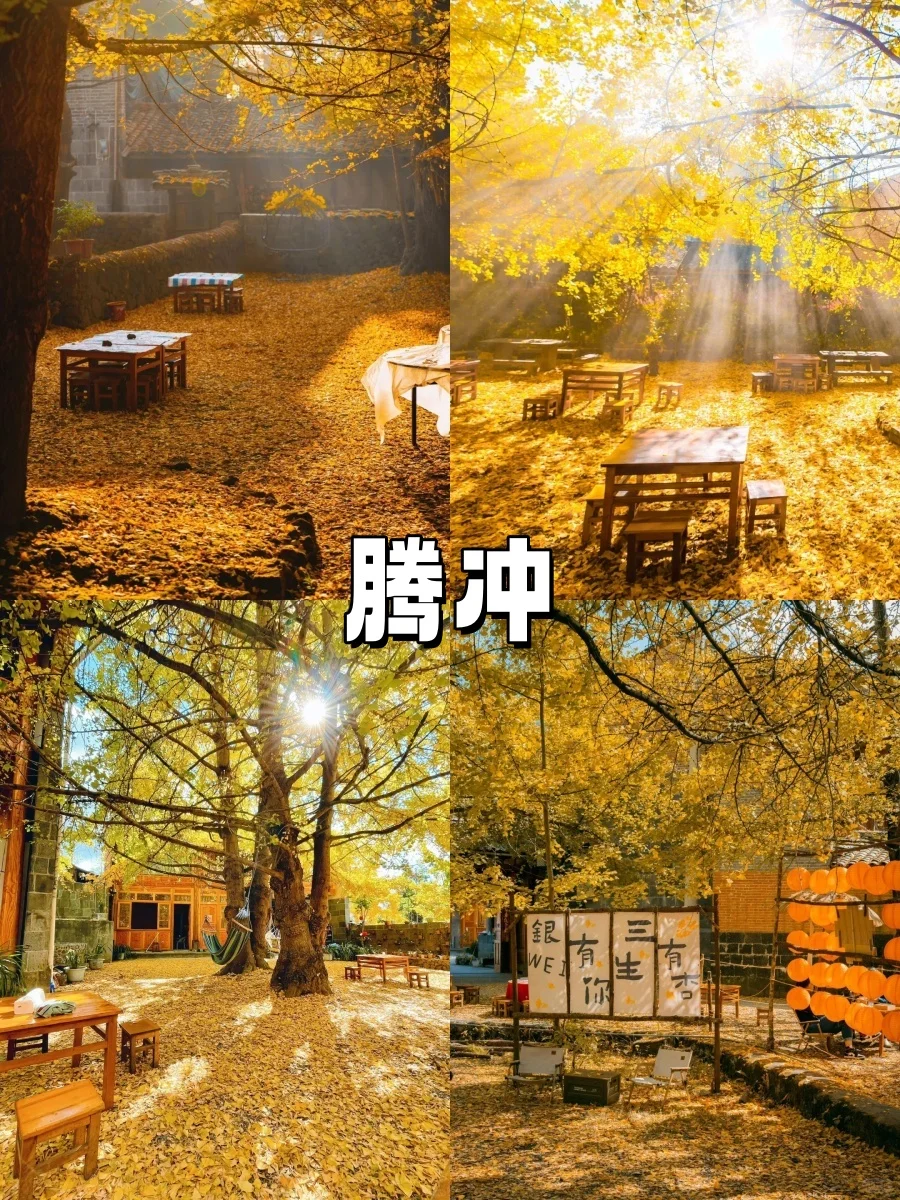 10-11月错峰旅游，八大赏秋圣地❗美到封神