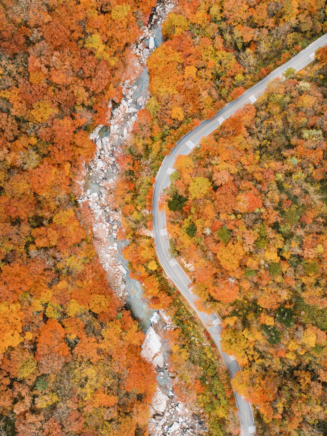《国家地理》强推！国内zui美红叶地！