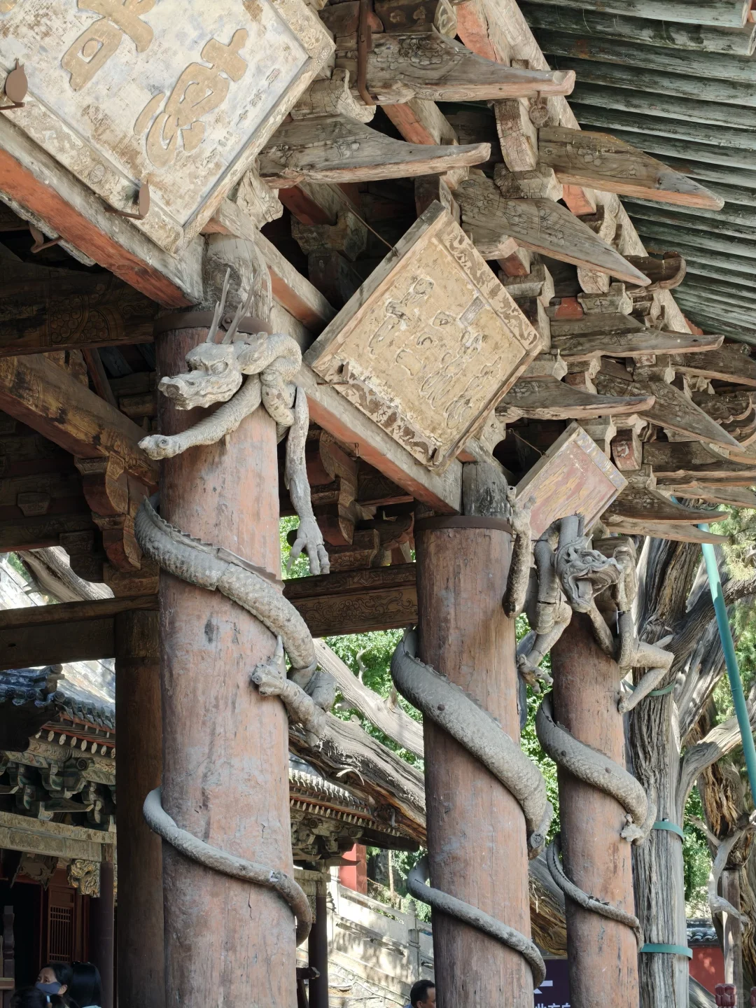 去了一趟山西，我严重怀疑古人真的见过龙！！