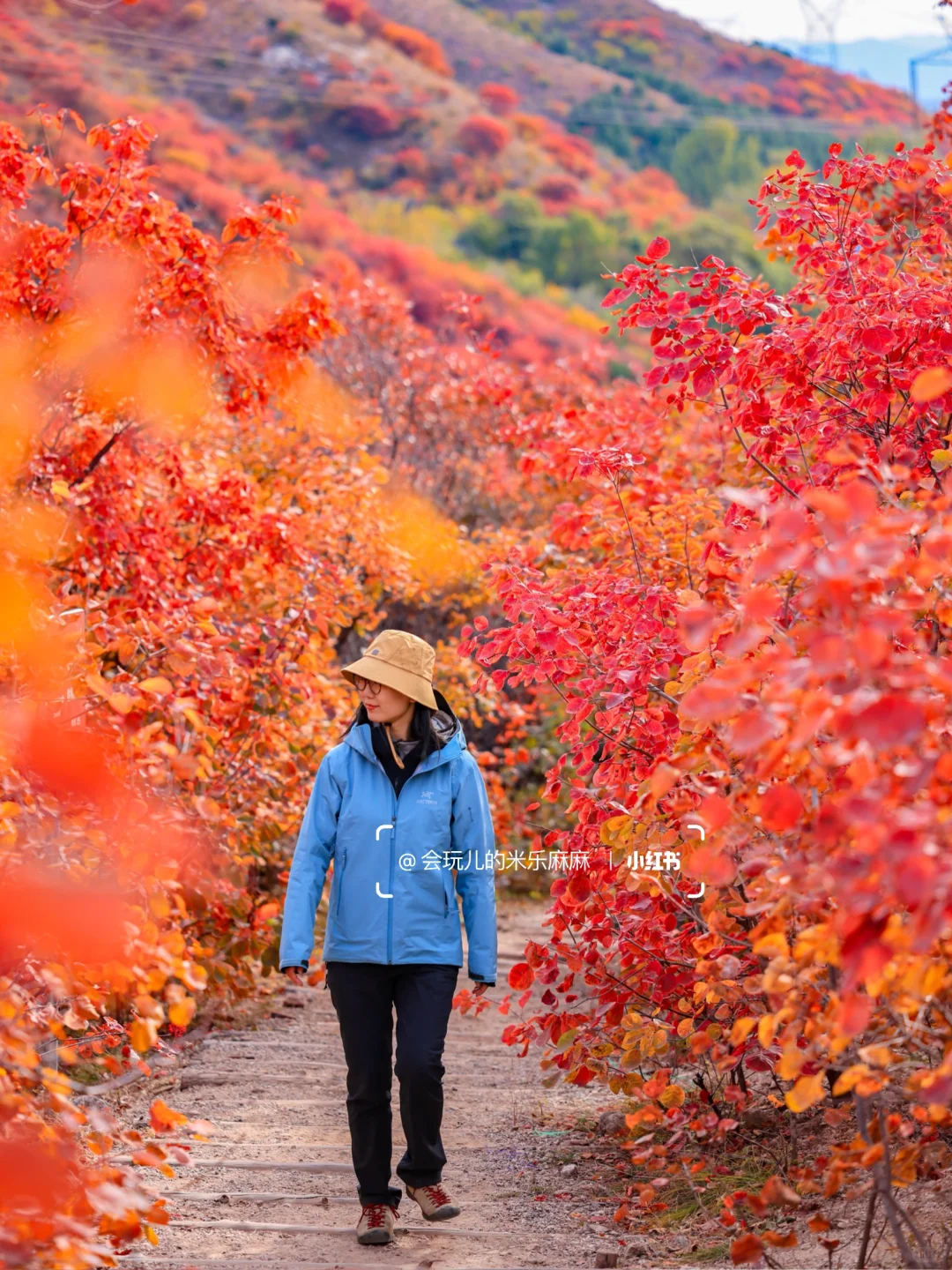 接下来北京不能错过的！亲子登山赏秋合集🍁