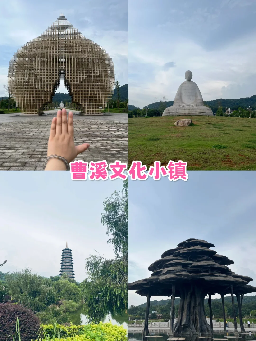 韶关旅游👉帽子峰银杏✨3天人均800💰