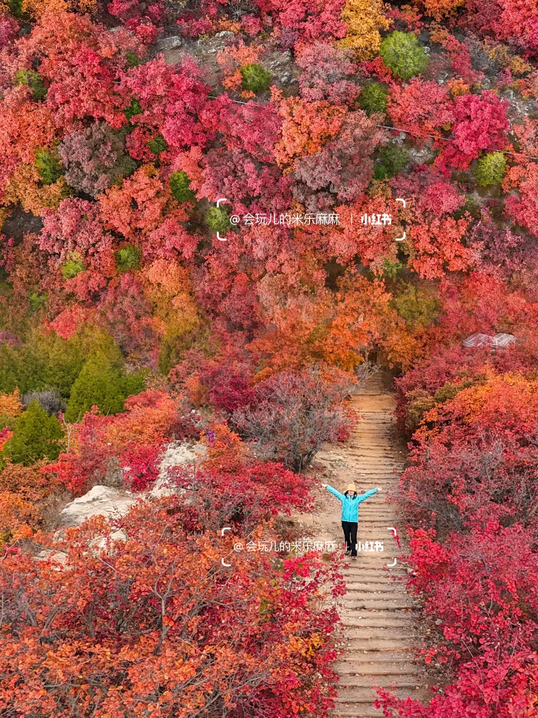 接下来北京不能错过的！亲子登山赏秋合集🍁