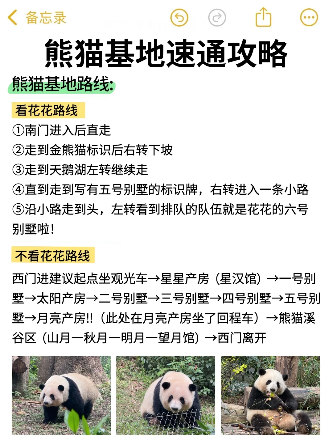 成都熊猫基地🔥超详细攻略来了！！！