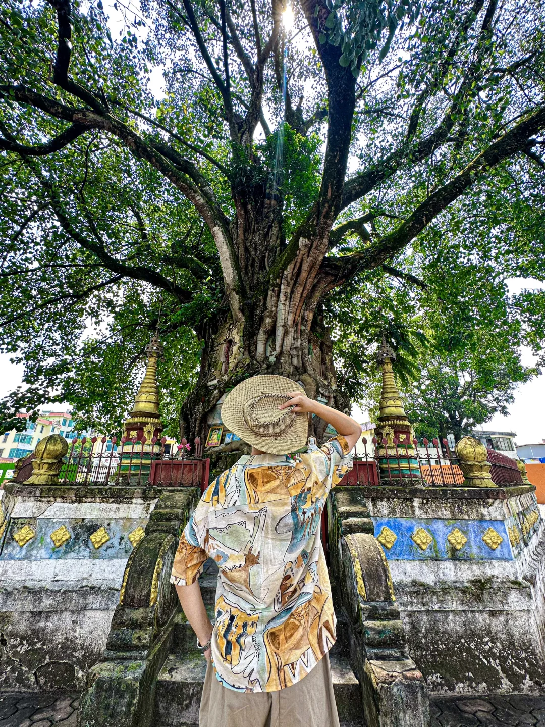 推荐云南最值得去的三个城市，我很怕他火…