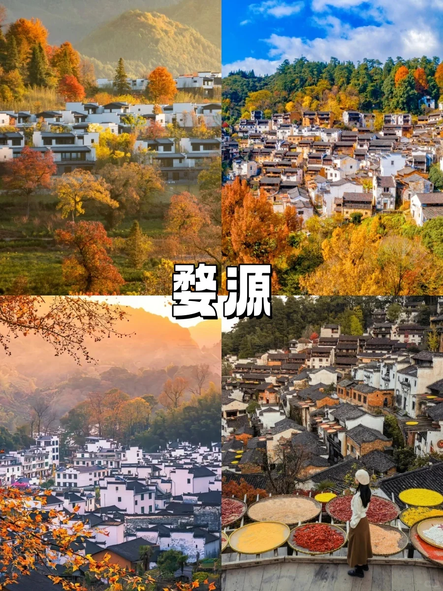 10-11月错峰旅游，八大赏秋圣地❗美到封神