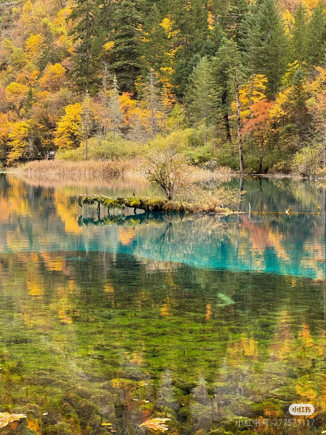 十月中旬旅游，帮忙看看吧