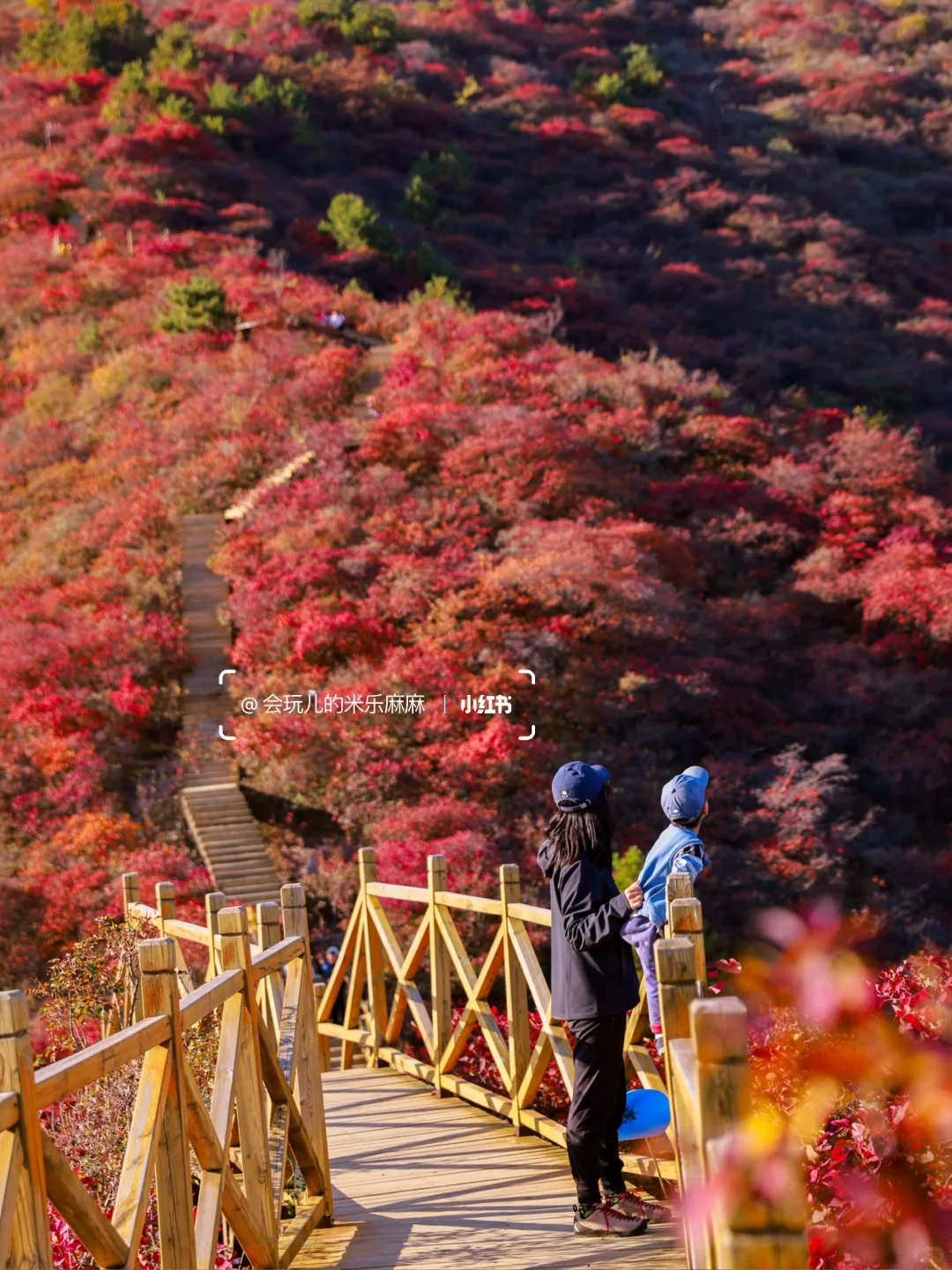 接下来北京不能错过的！亲子登山赏秋合集🍁