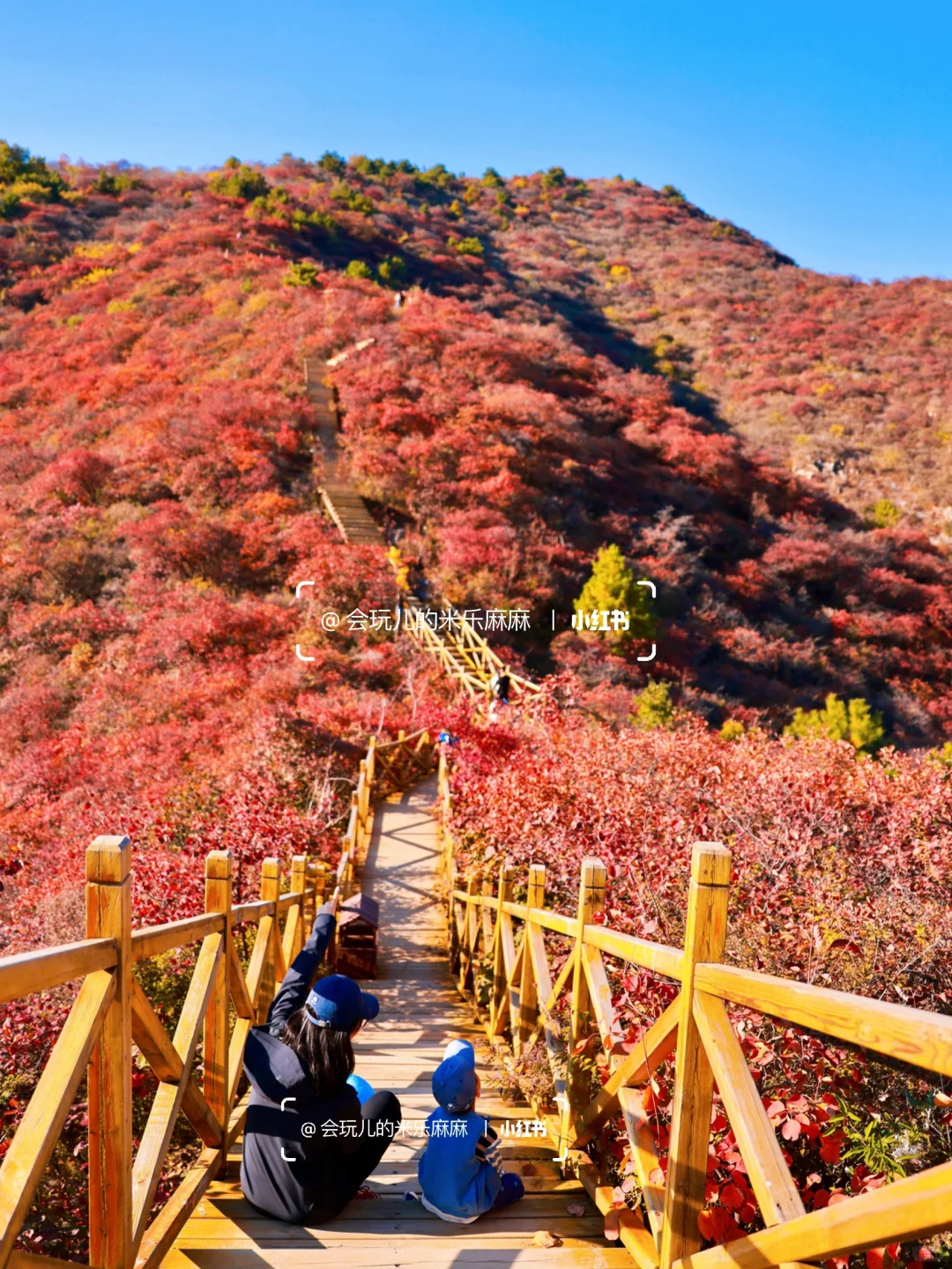 接下来北京不能错过的！亲子登山赏秋合集🍁