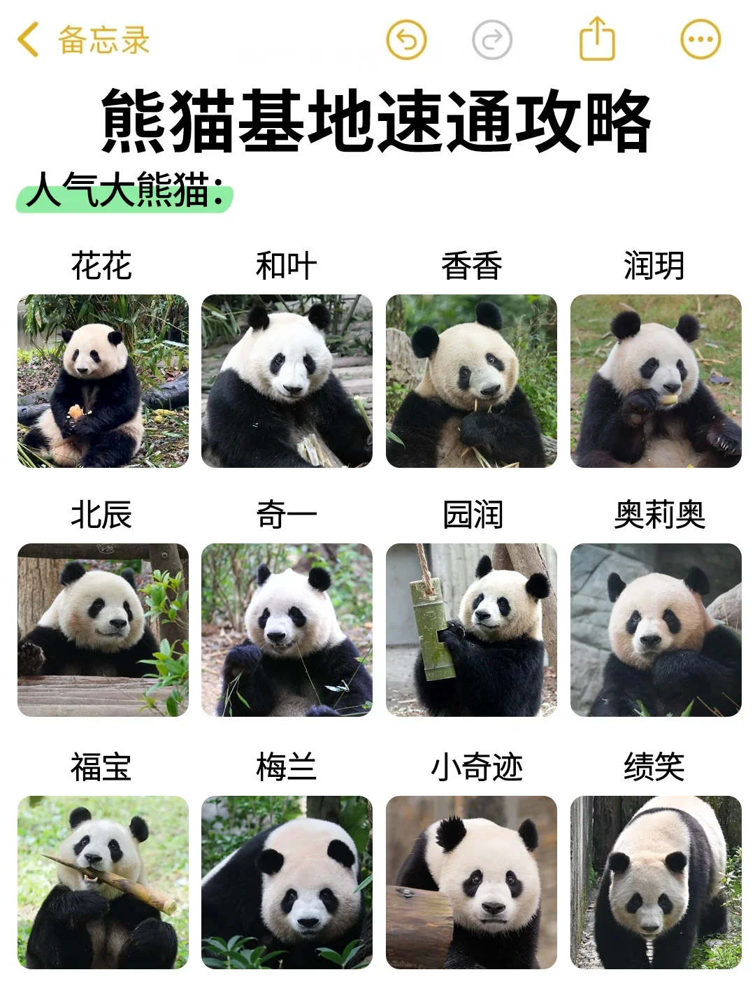 成都熊猫基地🔥超详细攻略来了！！！