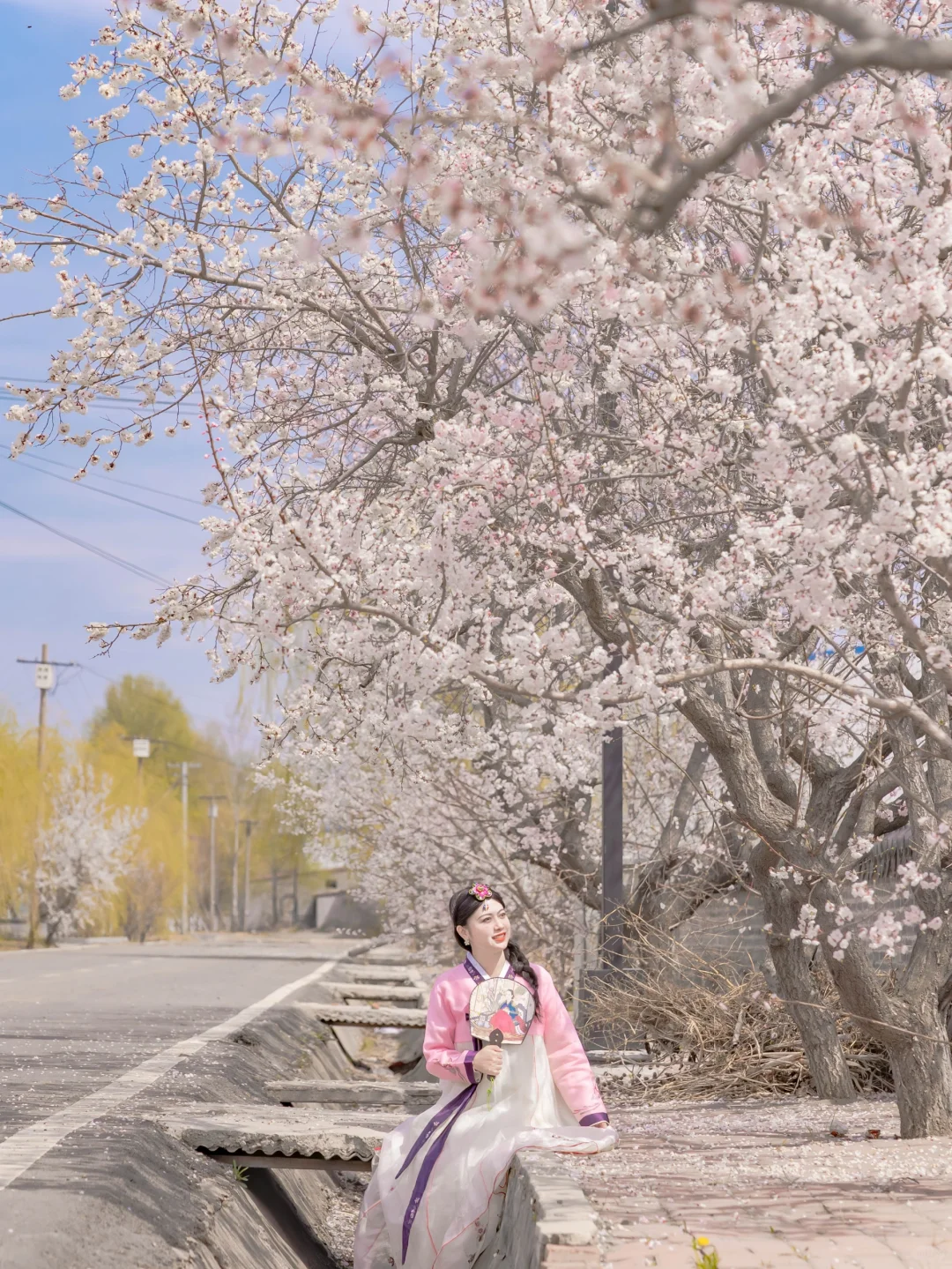 黑龙江你不宣传佳木斯糊涂呀!好看又好吃咧