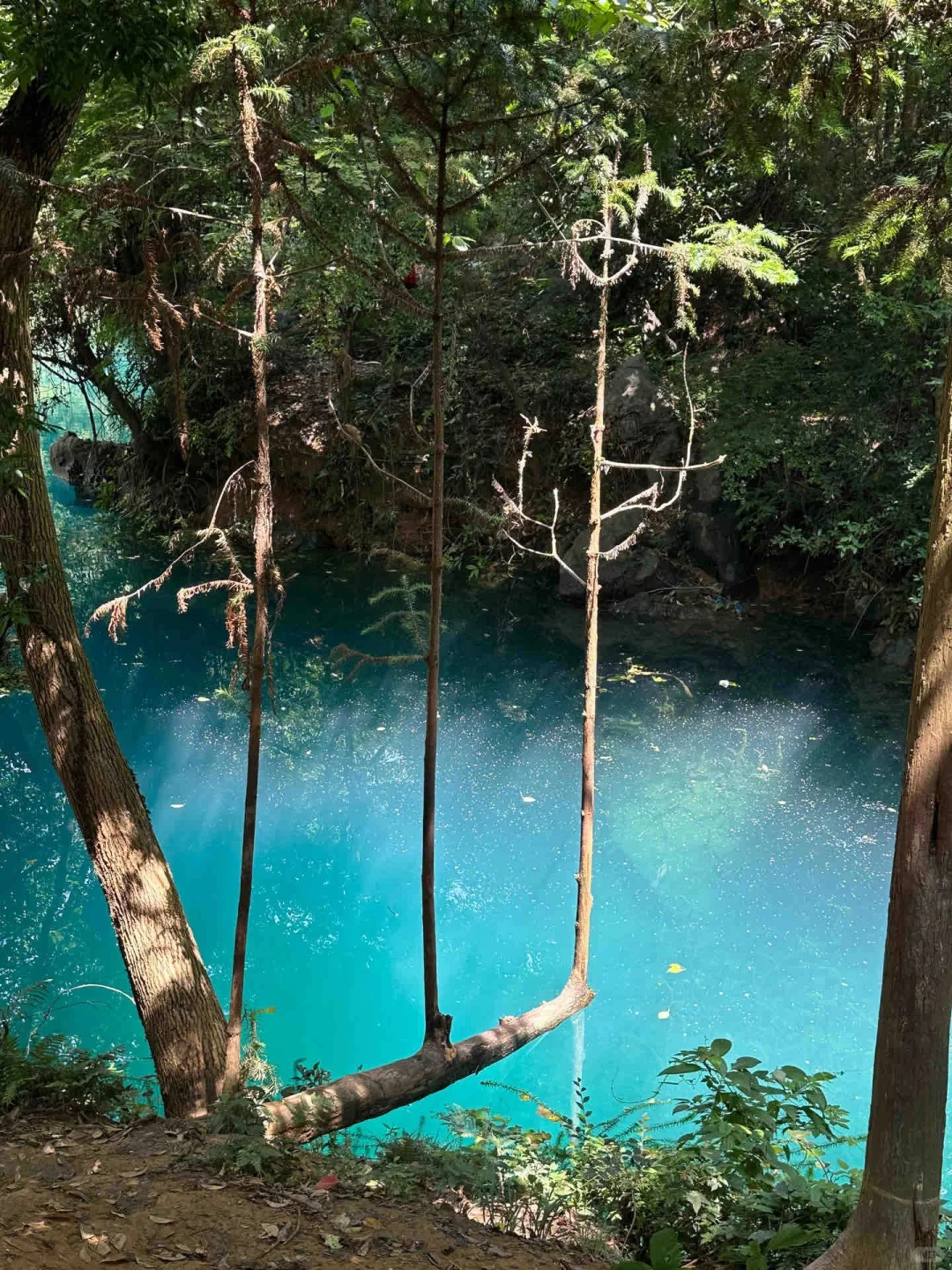 中秋国庆避世指南