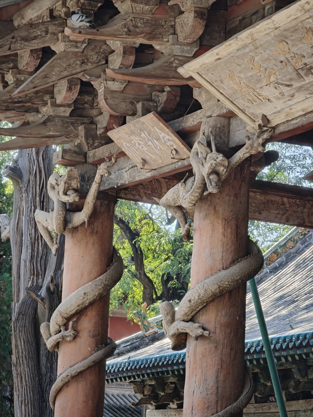 去了一趟山西，我严重怀疑古人真的见过龙！！