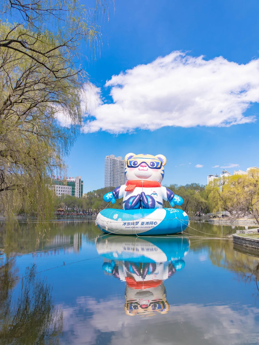 黑龙江你不宣传佳木斯糊涂呀!好看又好吃咧