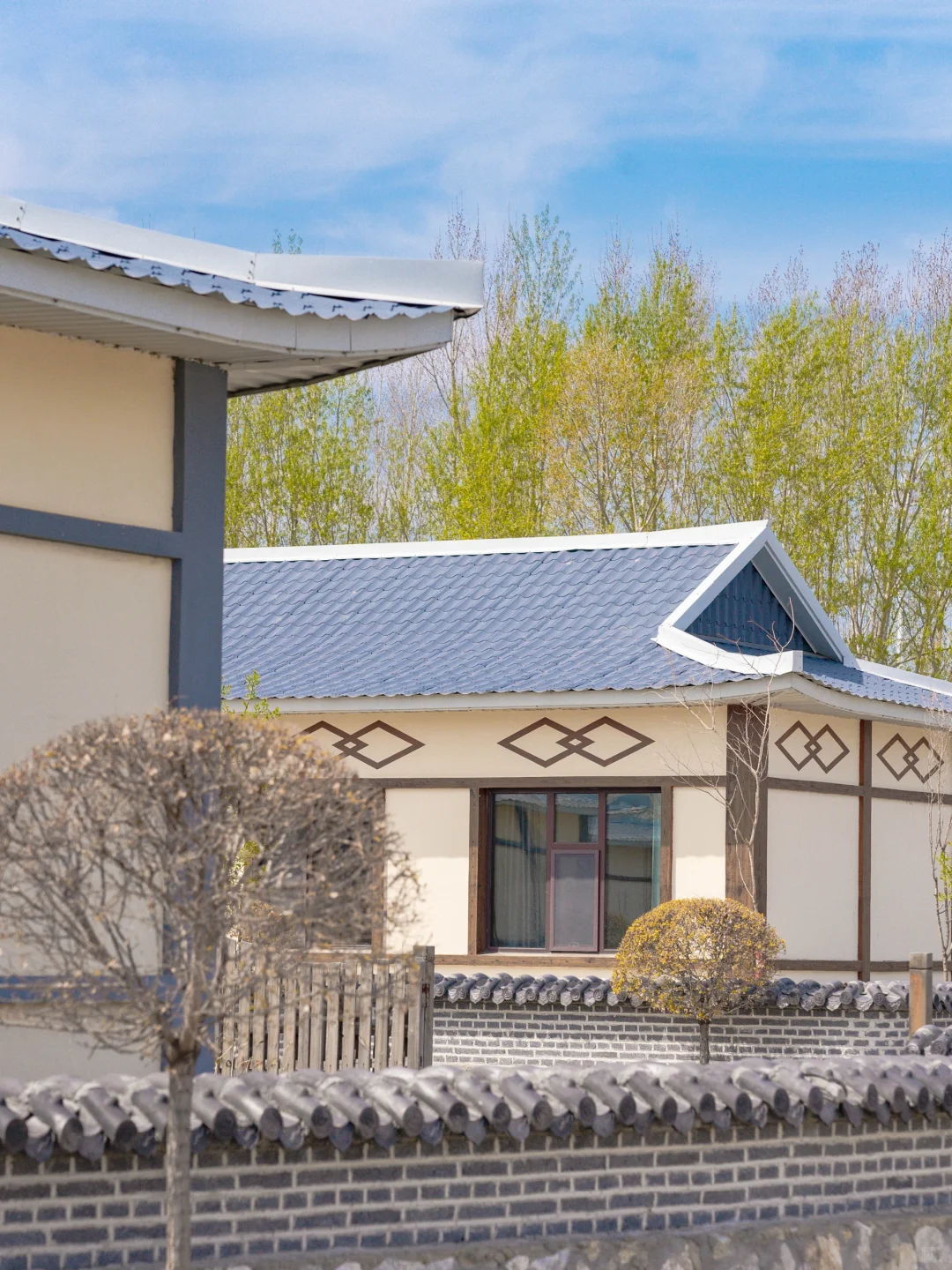 黑龙江你不宣传佳木斯糊涂呀!好看又好吃咧