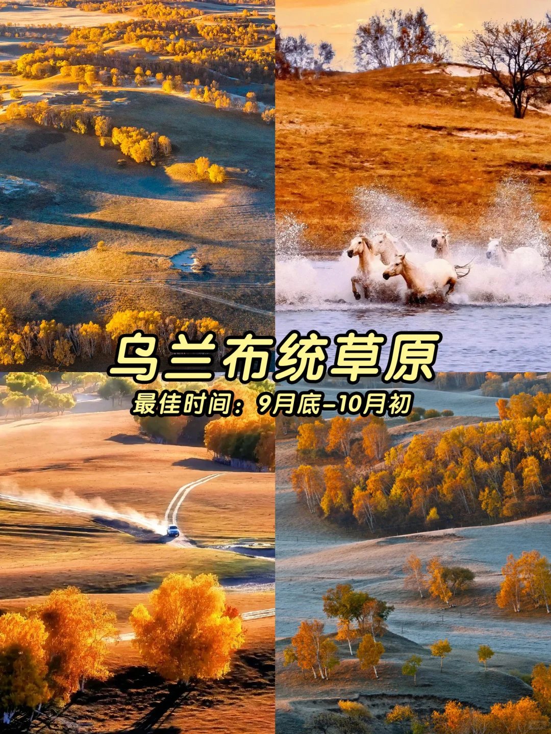 🍁一键收藏！9-11月国内最美秋色地图！