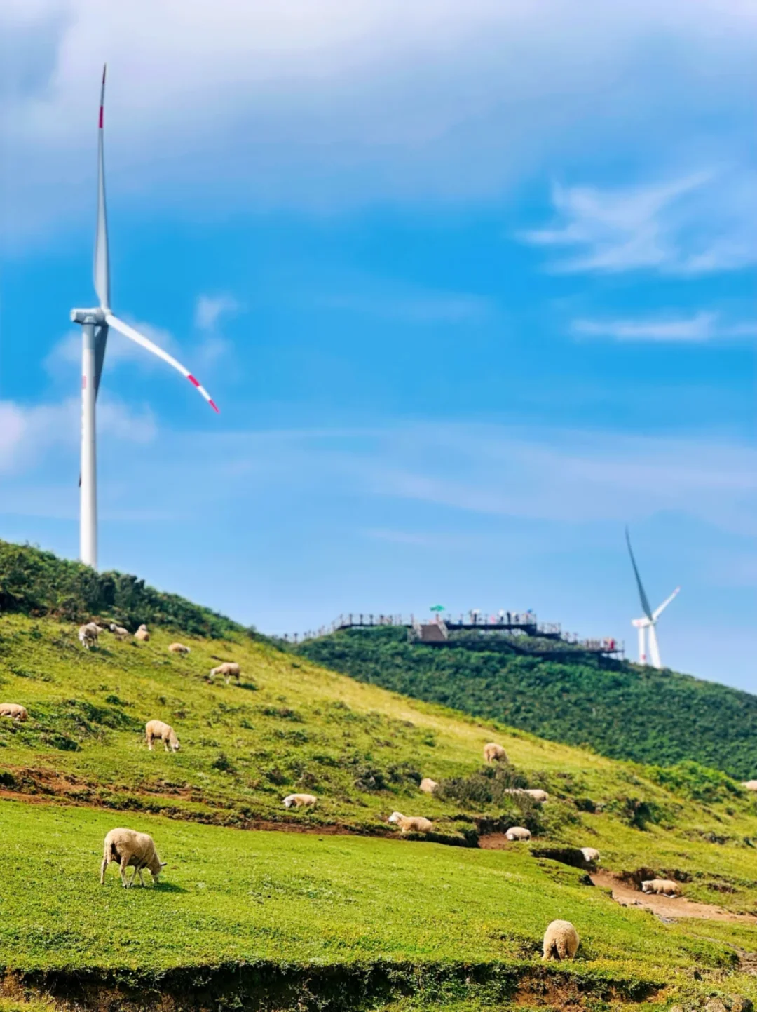 贵州旅游攻略，假期去贵州的姐妹锁s这篇！