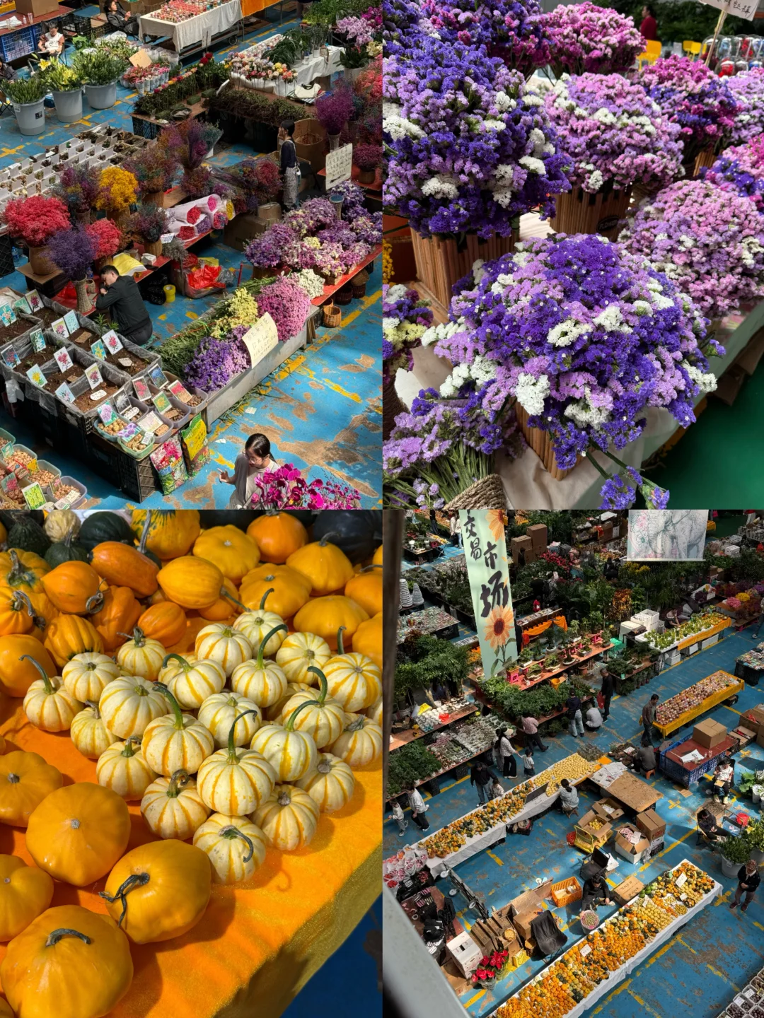 5天4晚昆明➕大理旅游攻略