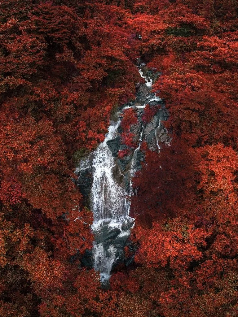 《国家地理》强推！国内zui美红叶地！