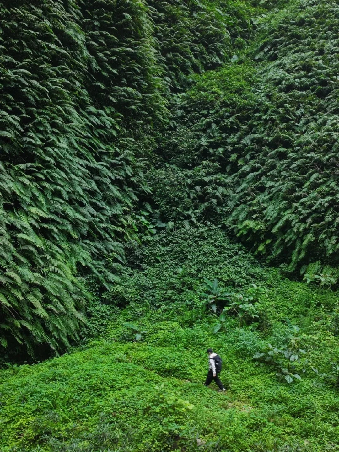 中秋国庆避世指南
