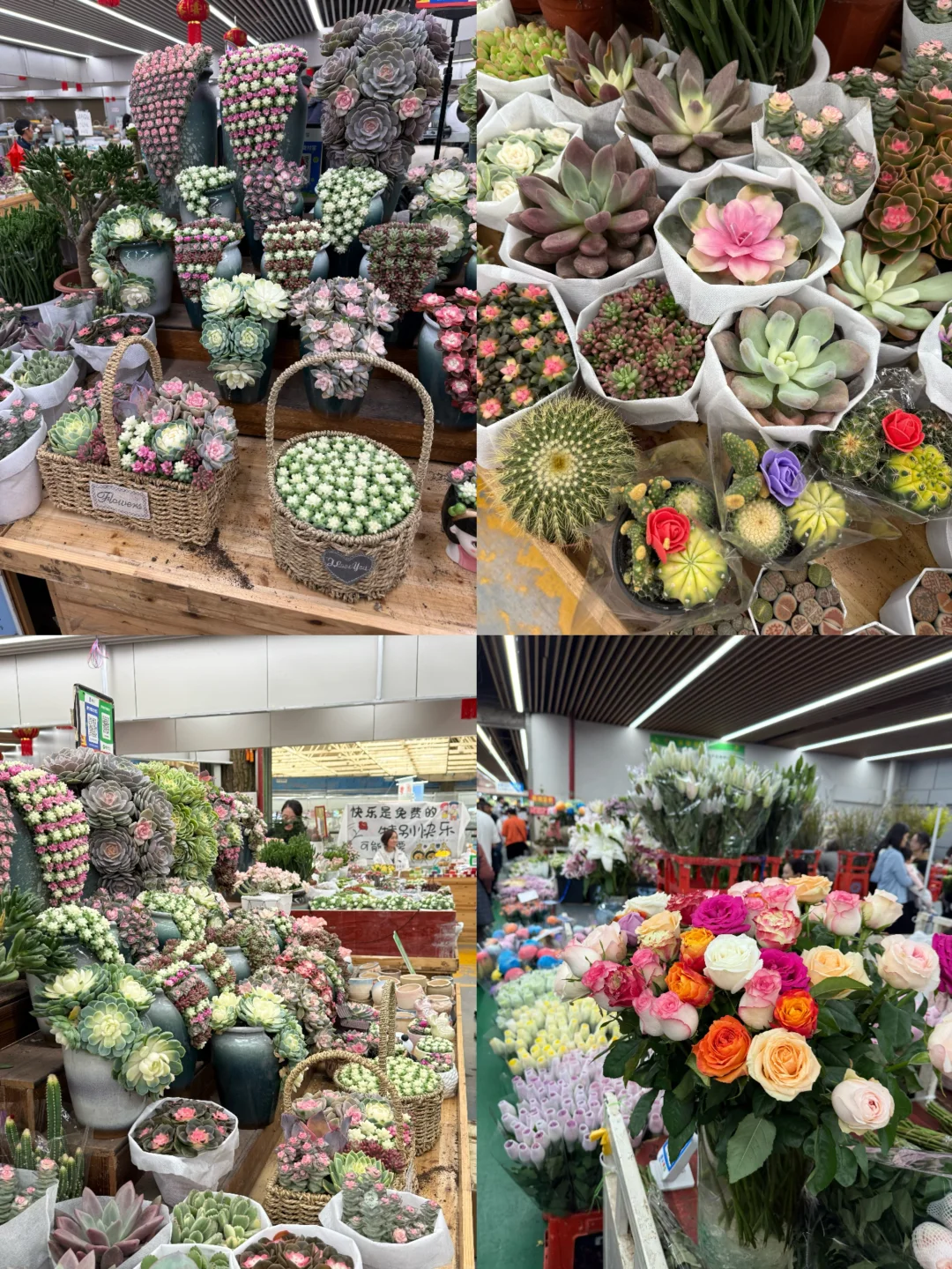 5天4晚昆明➕大理旅游攻略