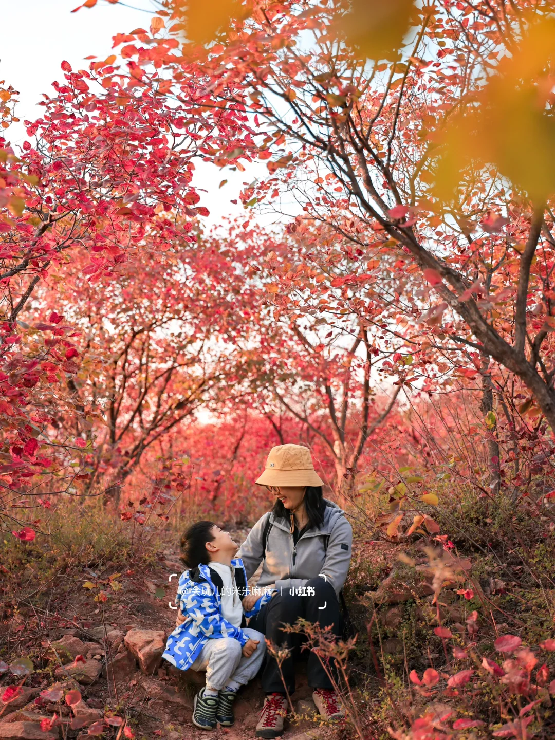 接下来北京不能错过的！亲子登山赏秋合集🍁