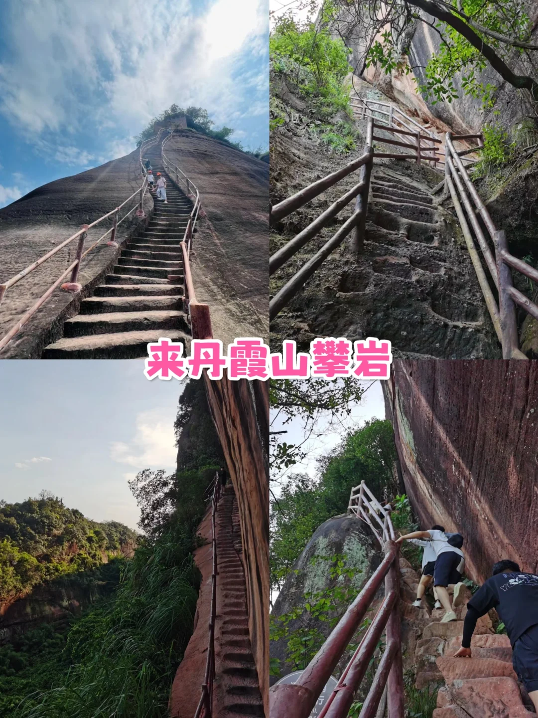 韶关旅游👉帽子峰银杏✨3天人均800💰