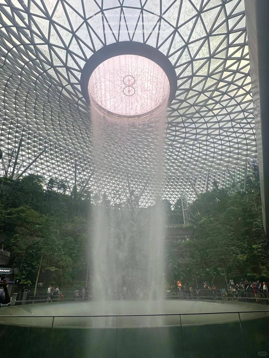 🇸🇬新加坡·赤道的热情从来不会四季明分