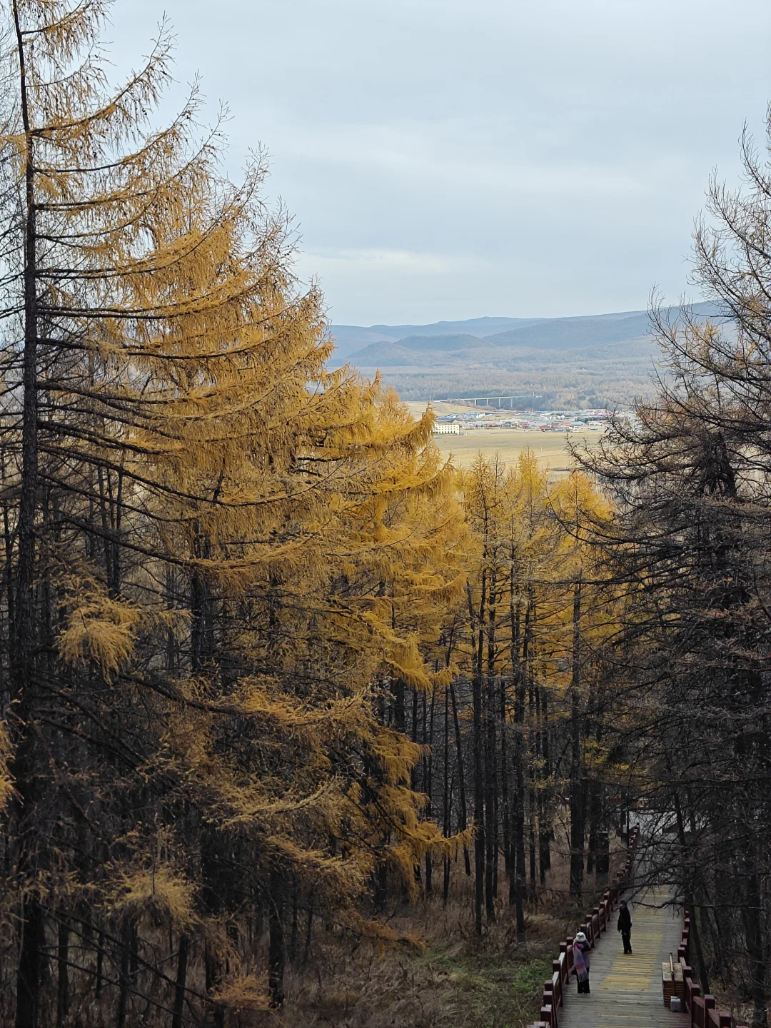 去年今天，2024.10.9，阿尔山