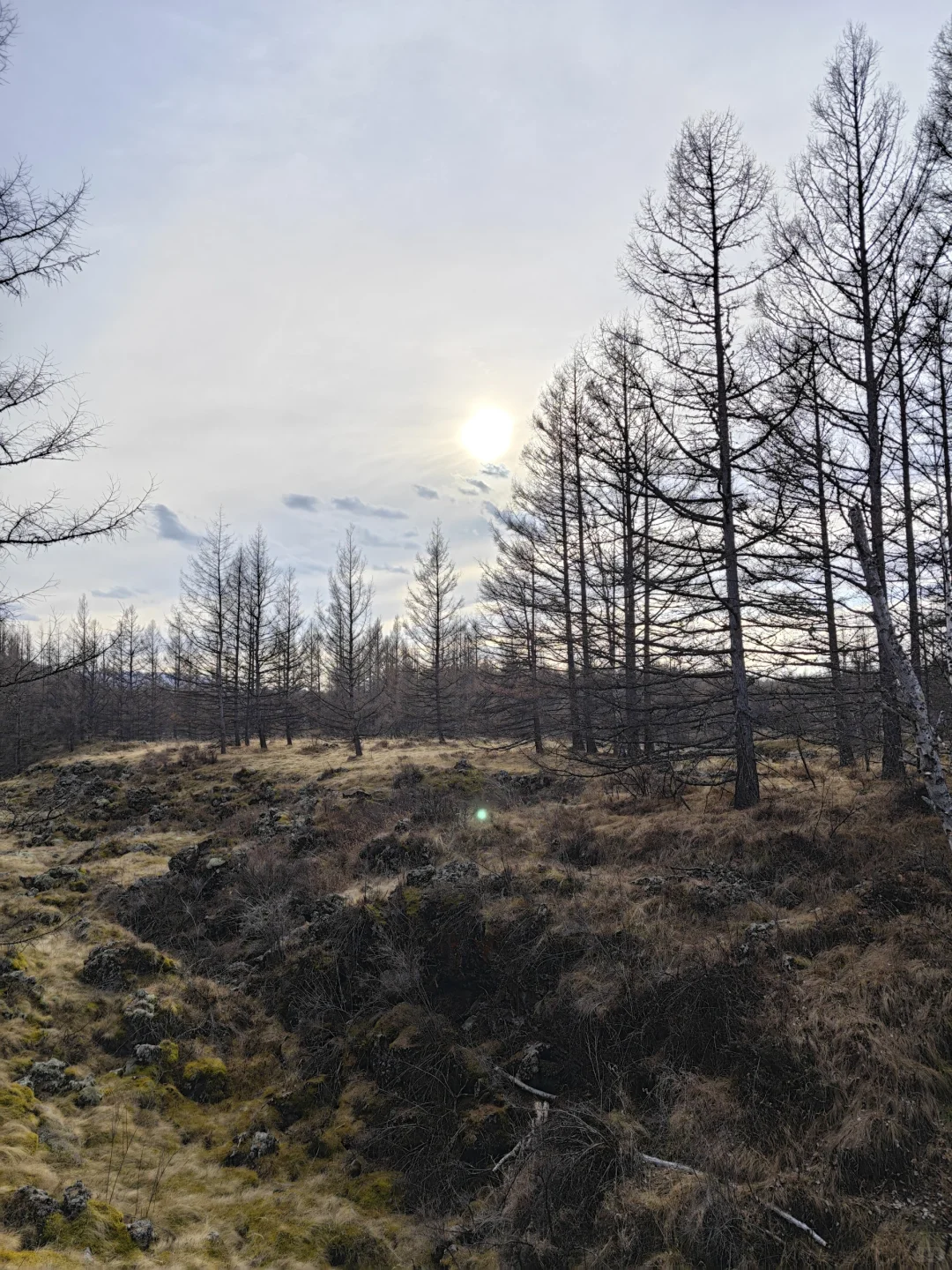 去年今天，2024.10.9，阿尔山