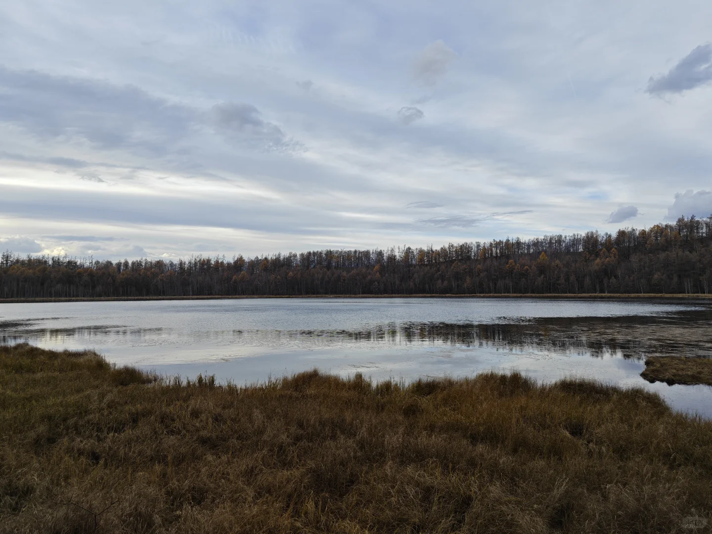 去年今天，2024.10.9，阿尔山