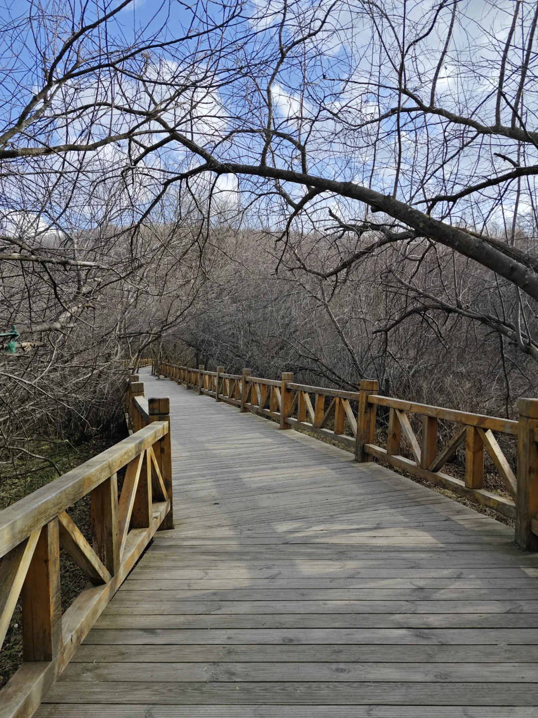 去年今天，2024.10.9，阿尔山