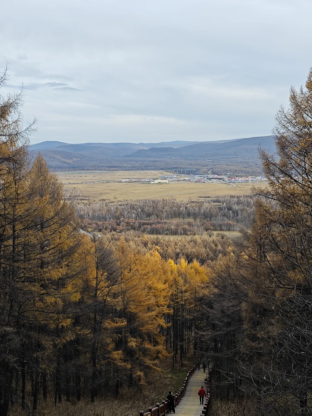去年今天，2024.10.9，阿尔山