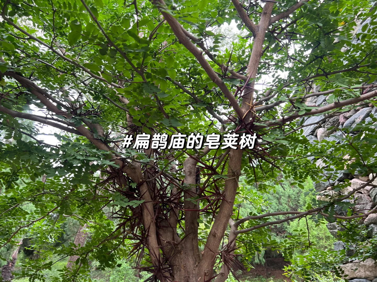 河北邢台｜这么近 那么美，周末到——