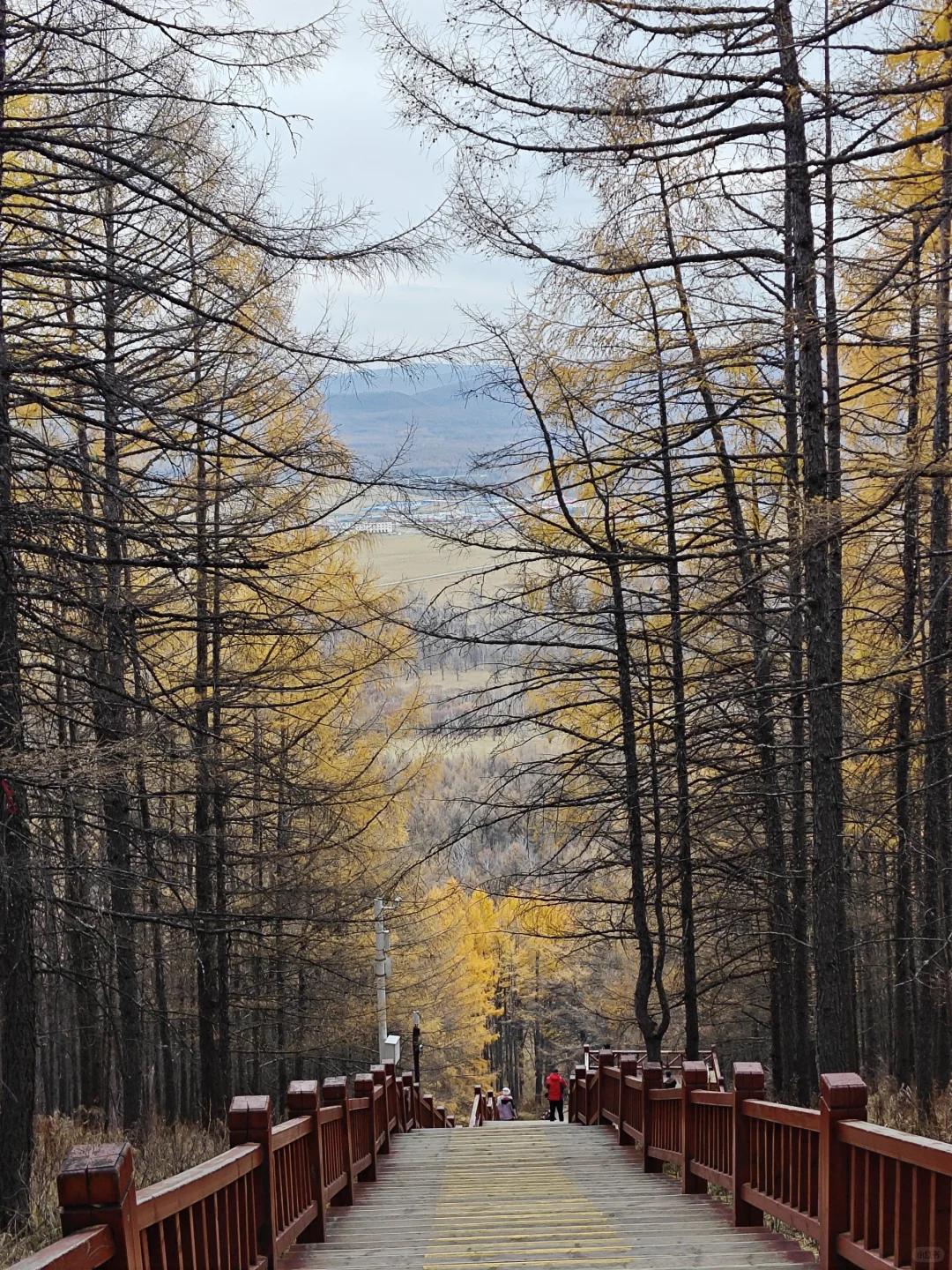 去年今天，2024.10.9，阿尔山