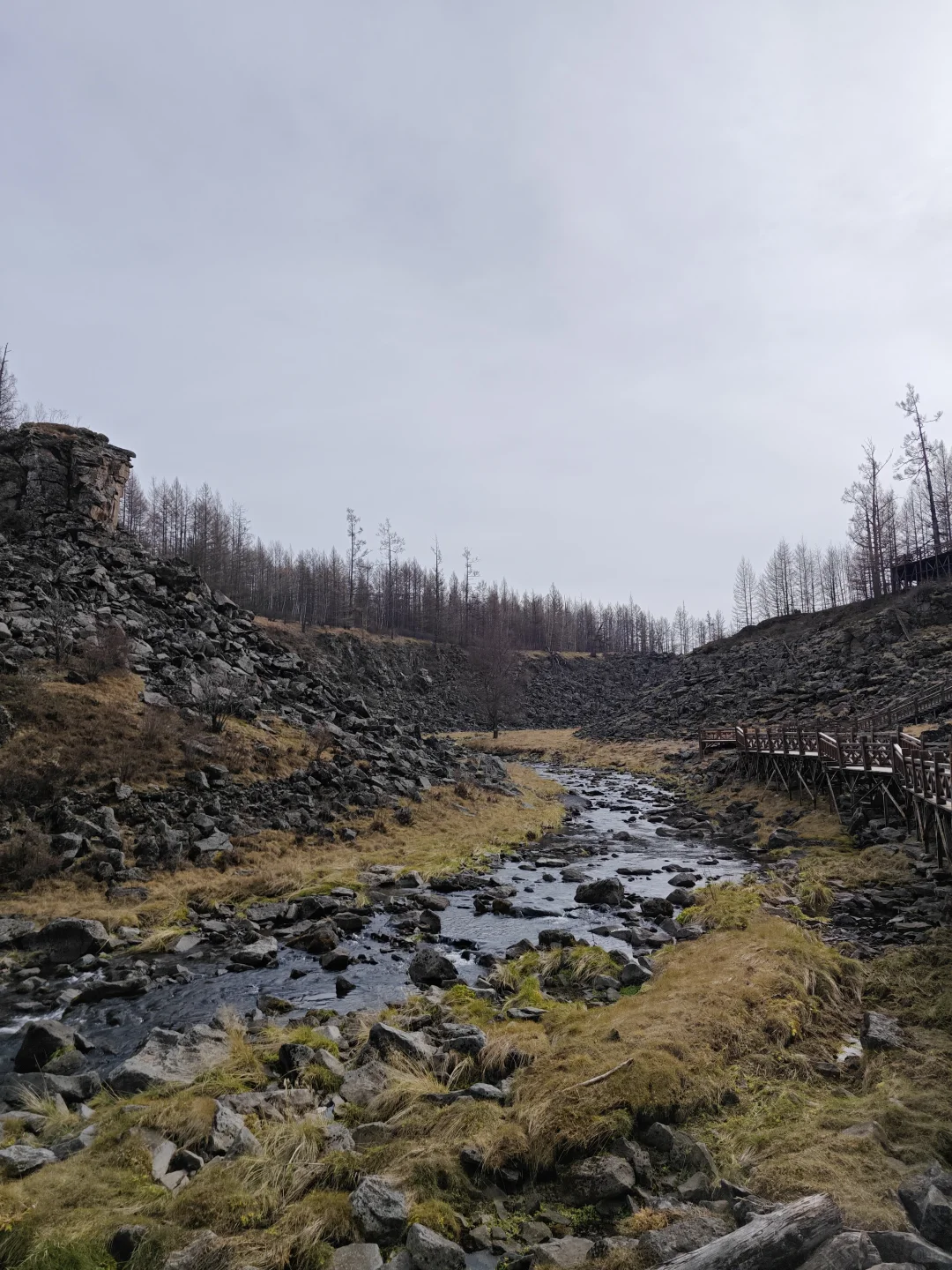 去年今天，2024.10.9，阿尔山