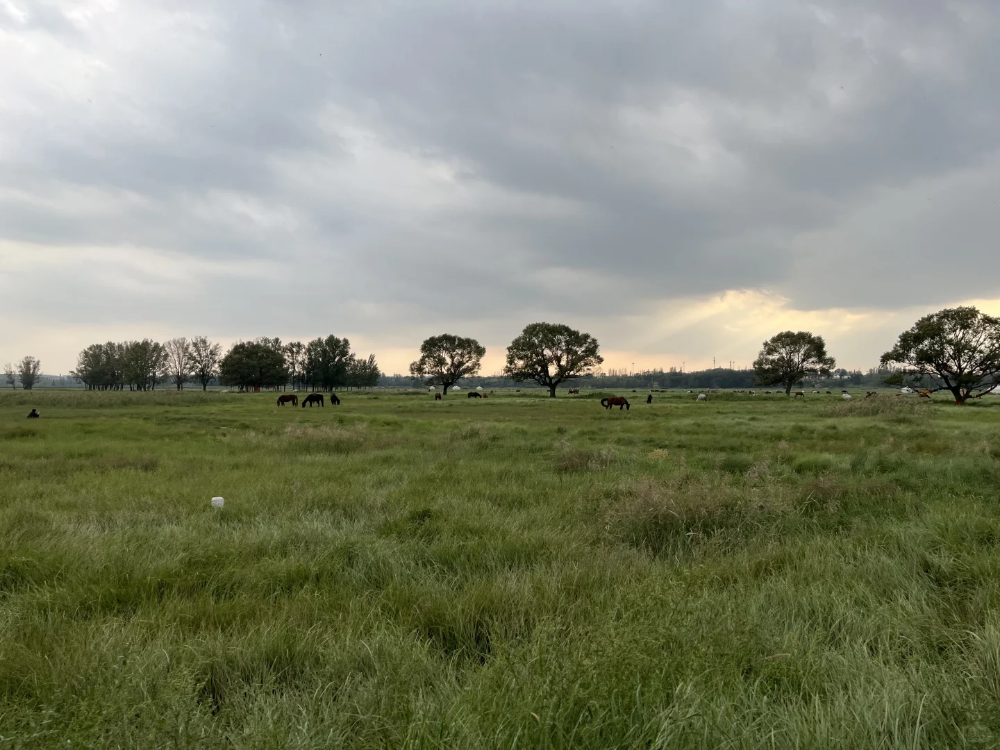 去包头一定不要打卡游