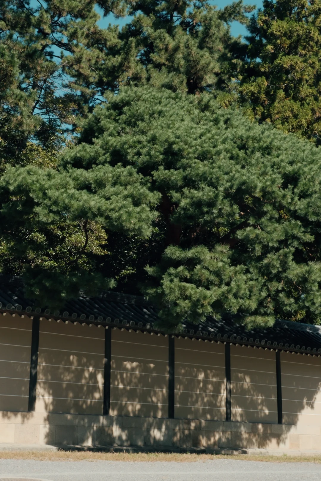 审美被国家级极致克制上了一课