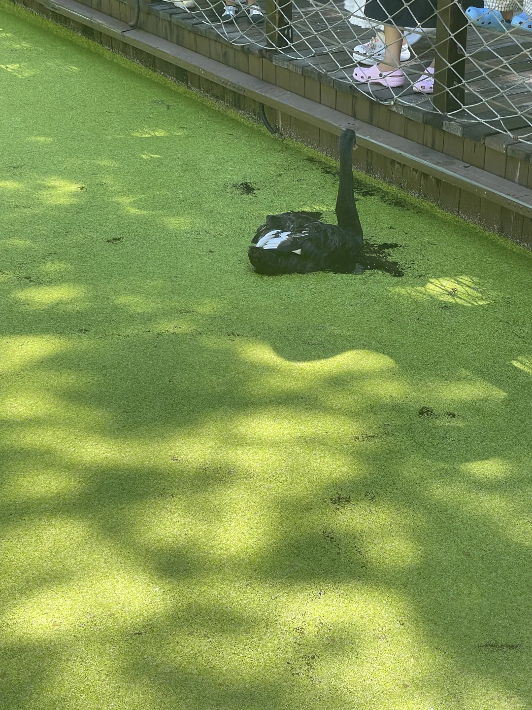 杭州文旅卡景点测评🔥免费景点