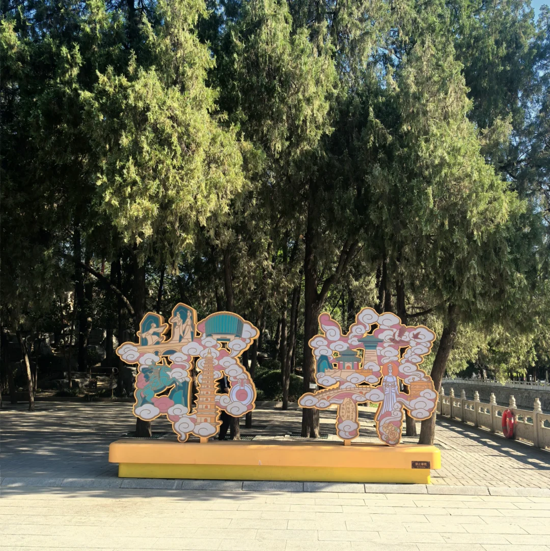 被邯郸这座三千年古城感动了