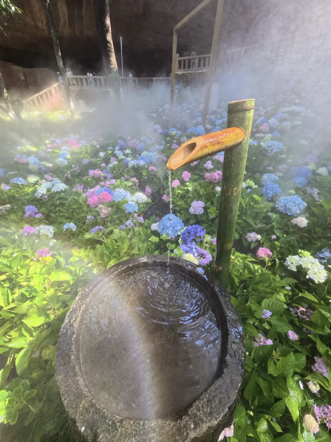 误入莫奈花园且🐕宠物友好景点