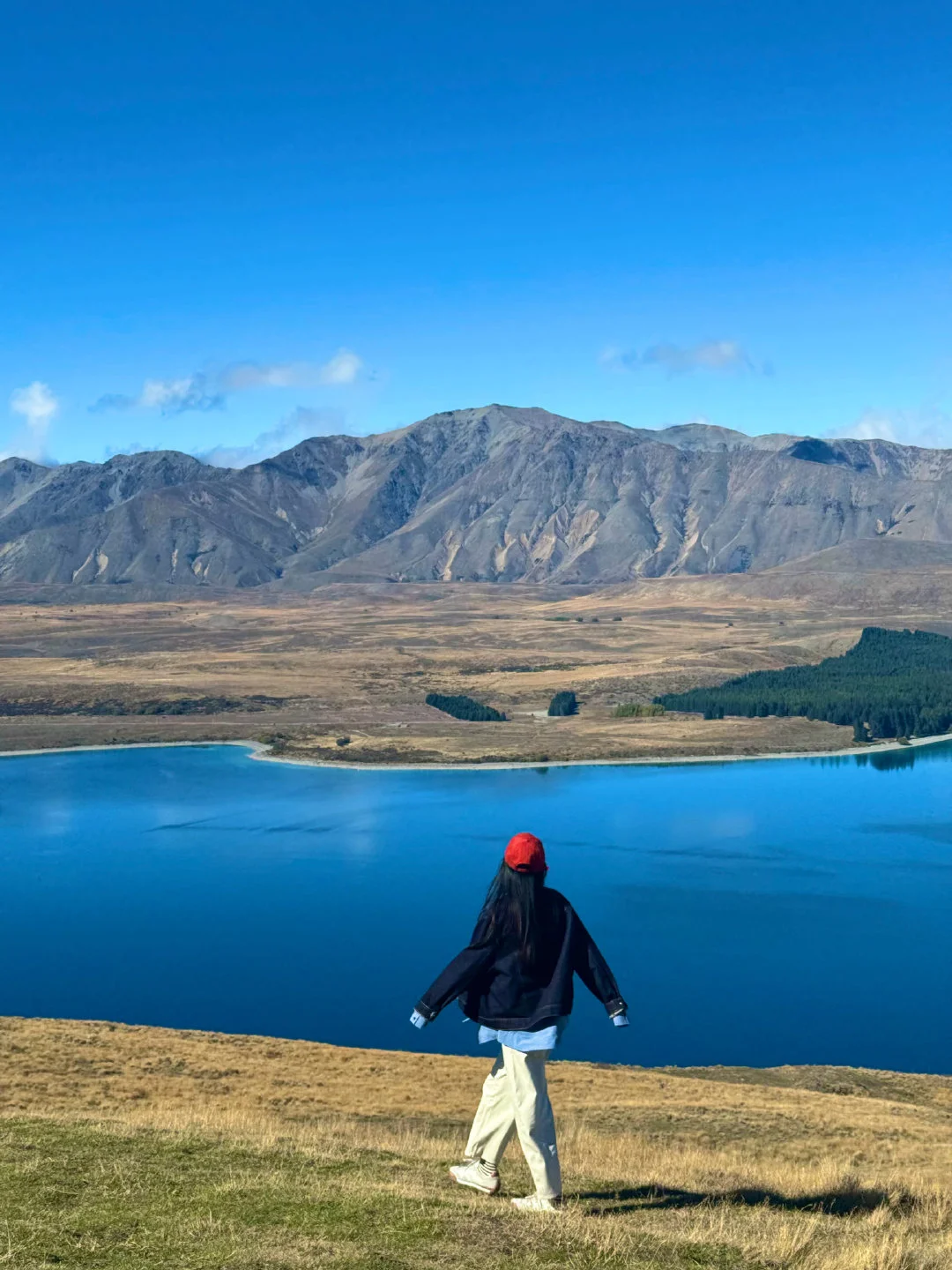 强烈推荐我报的新西兰小团（和妈妈一起）
