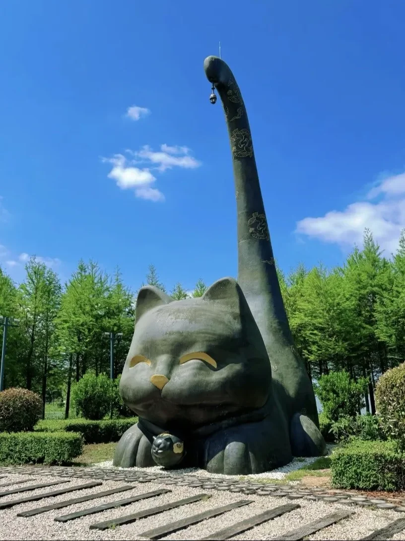 🐾淮安·猫咪天堂，治愈系岛屿🏝️